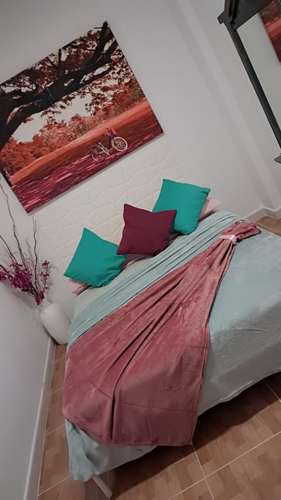 Transexual en Las Palmas: 