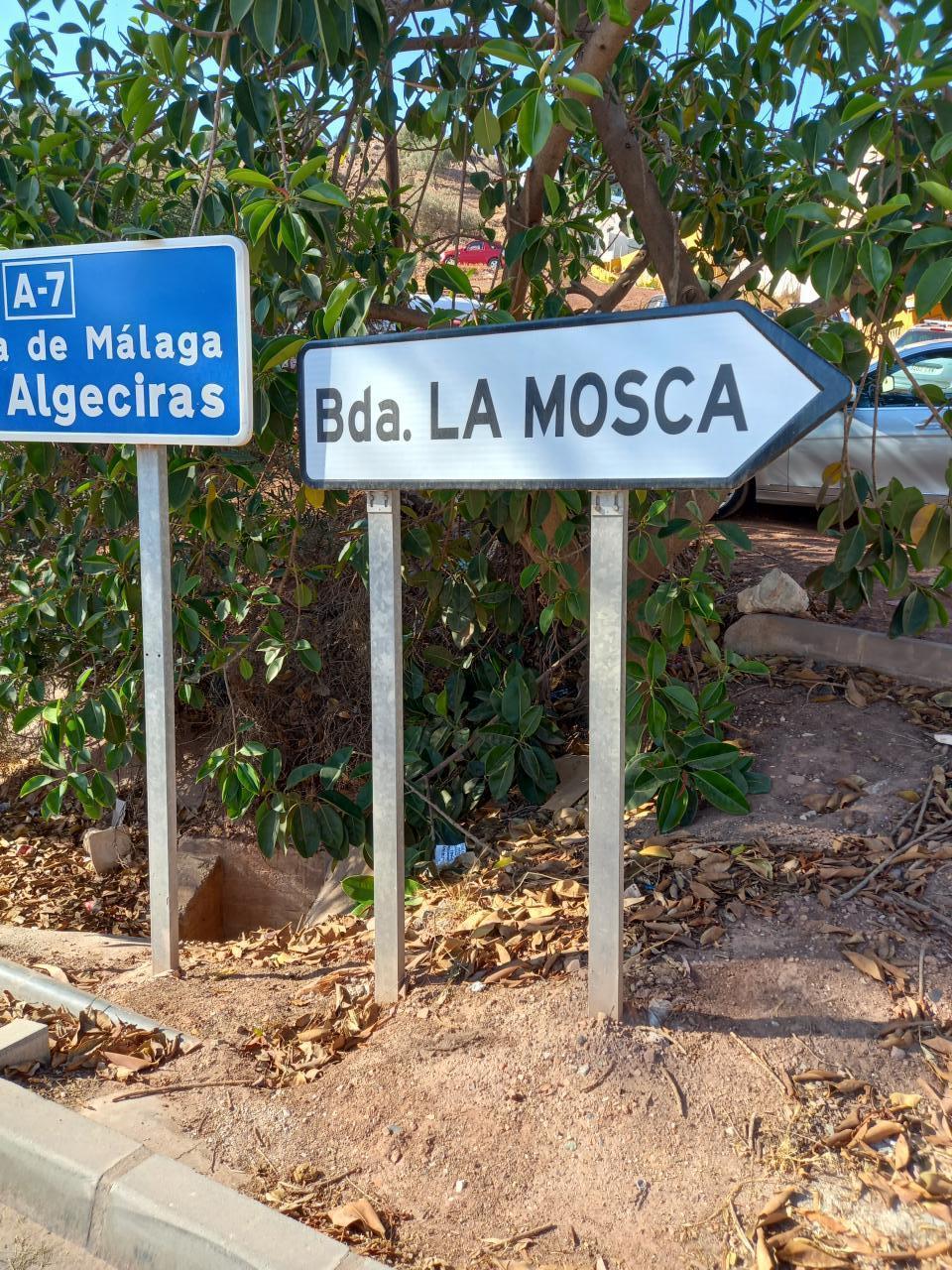 Chica busca chico en Málaga: 