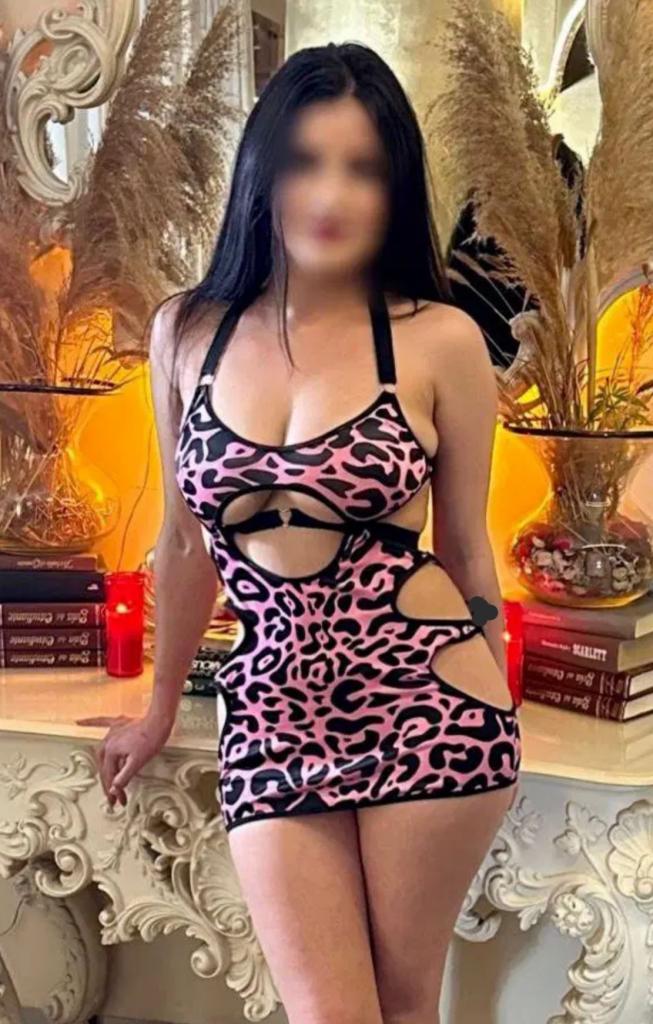 Chica busca chico en Alicante: 