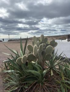 627315883: Chico busca chica en La Coruña