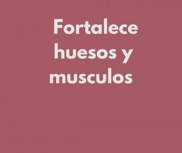 Chica busca chico en Zaragoza: 