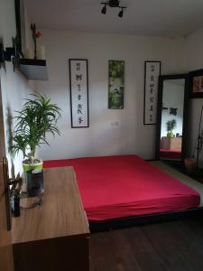 Chica busca chico en Huesca: 