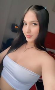 Travesti en Navarra: 