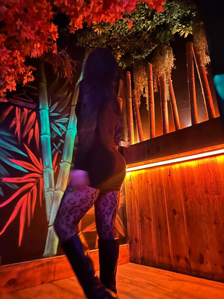 Travesti en Tarragona: 