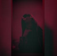 613854019: Chica busca chico en Las Palmas