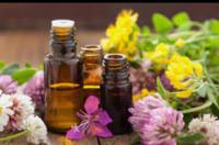 614077693: Chica busca chico en Las Palmas