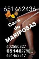 651462436: Chica busca chico en Valladolid