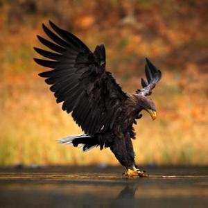 Chica busca chico en Huelva: 