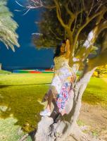 664227044: Transexual en Zaragoza