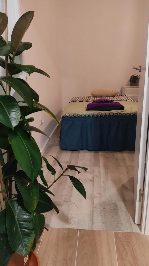 Chica busca chico en Madrid: 