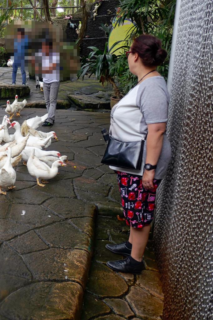 Chica busca chico en Las Palmas: 