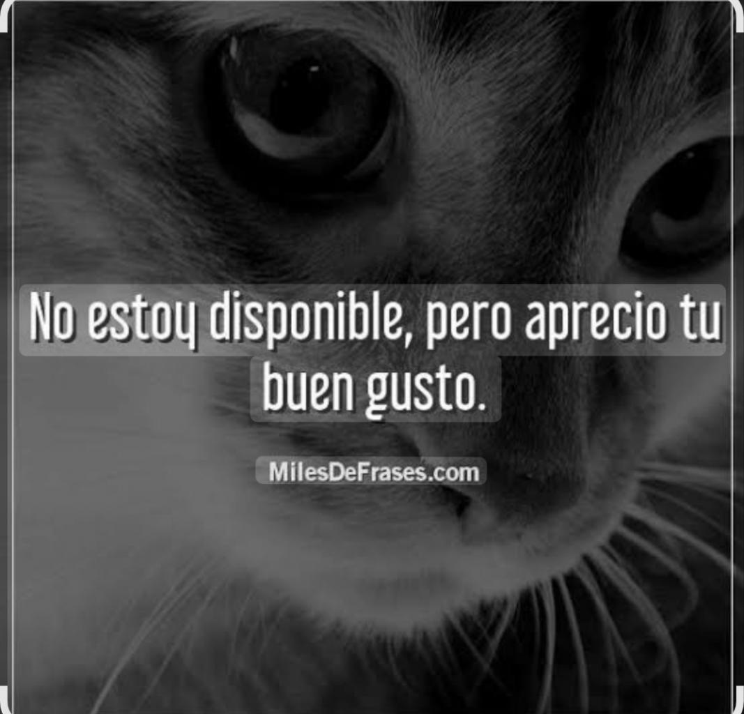 666277388: Travesti en Sevilla