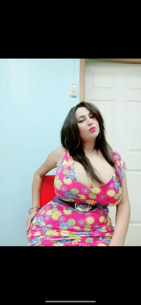 Travesti en Alicante: 