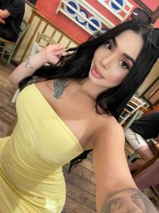 743067887: Travesti en Burgos