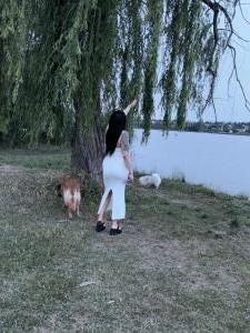 613800437: Chica busca chico en Toledo
