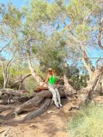 642048672: Transexual en Tarragona