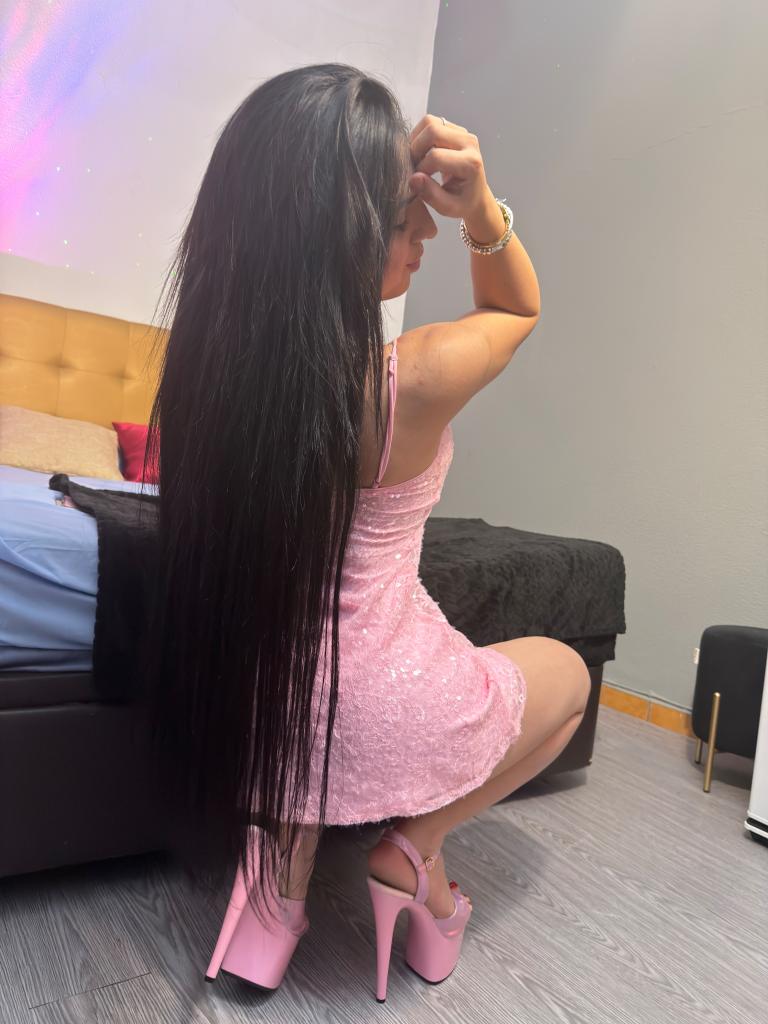 Travesti en Alicante: 