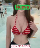667314313: Chica busca chico en Alicante