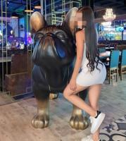 643553129: Chica busca chico en Alicante