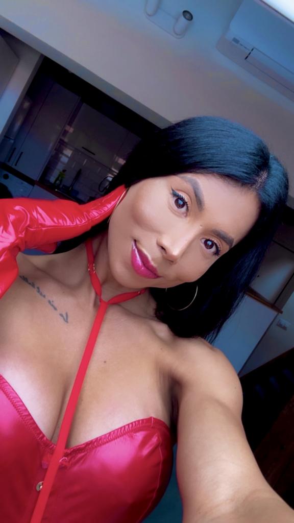 Travesti en Vizcaya: Transexuales y Travestis