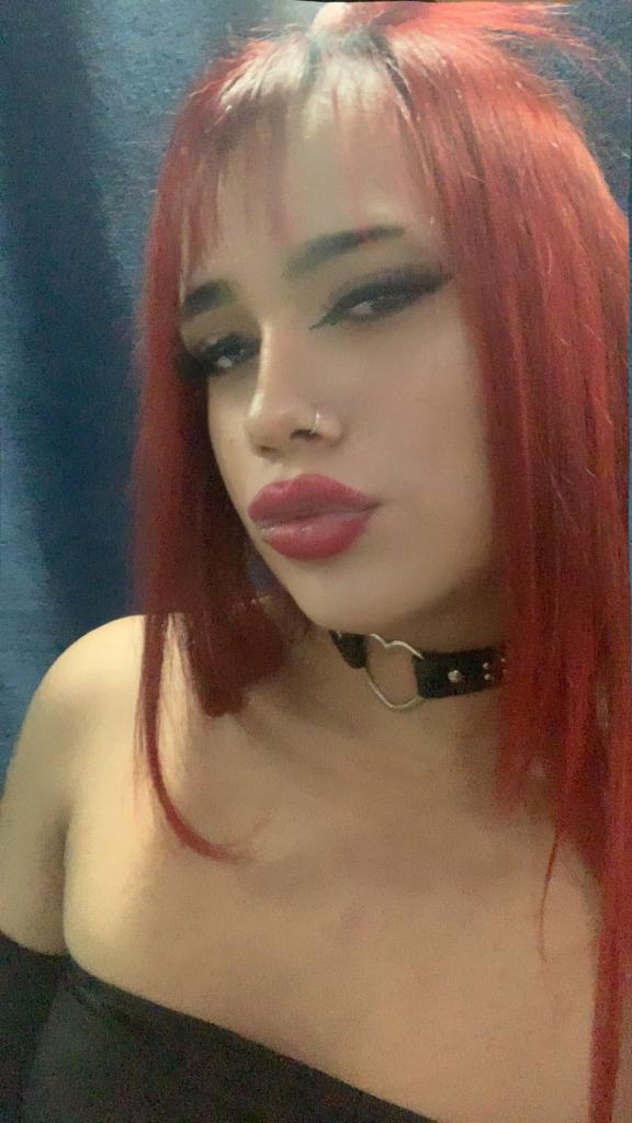 Travesti en Zaragoza: 