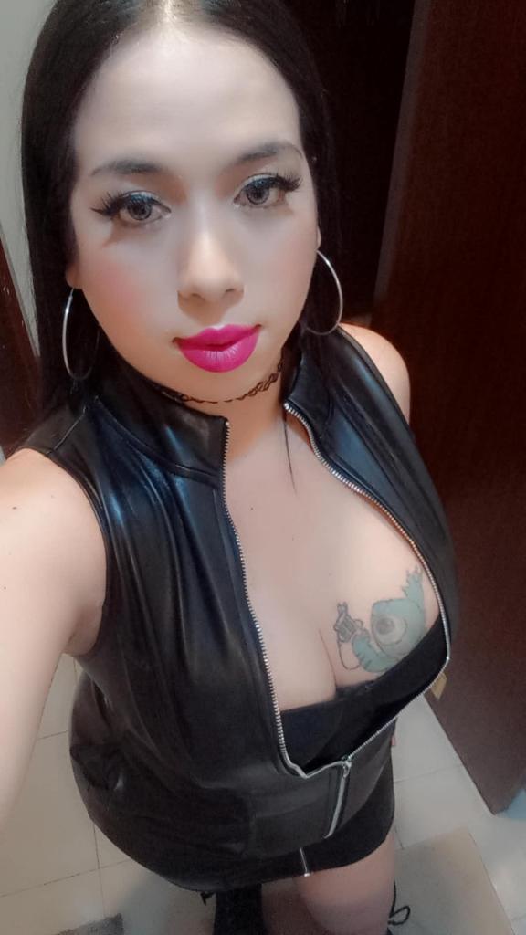 Transexual en Asturias: Transexuales y Travestis