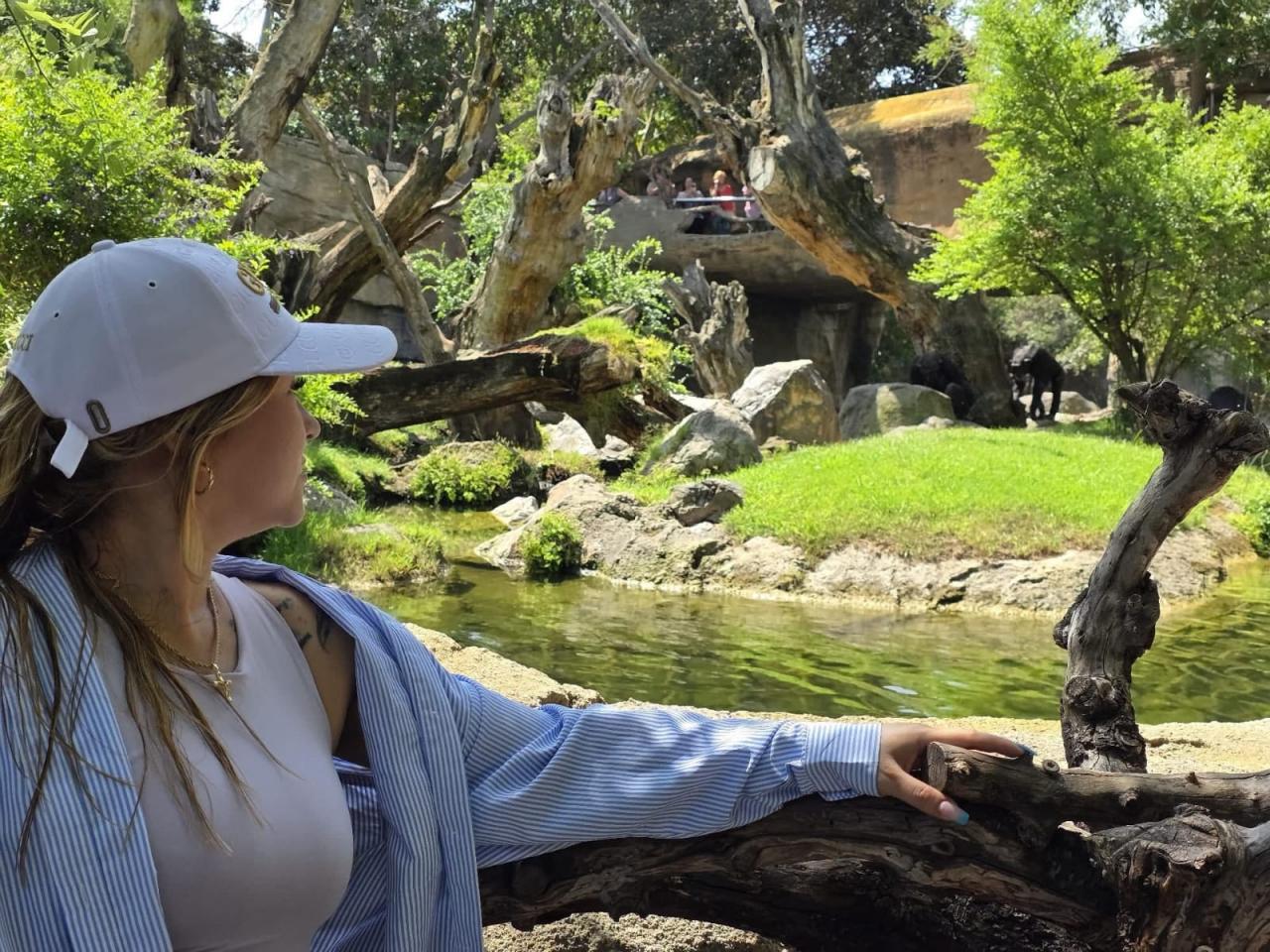 Chica busca chico en Valencia: 