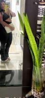 613414173: Chica busca chico en Sevilla
