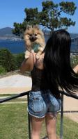 683491189: Travesti en Pontevedra