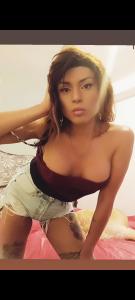 663713124: Travesti en Alicante