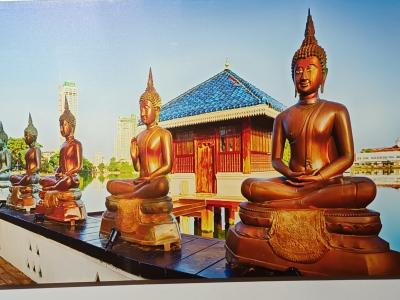 623314771: Chico busca chica en Tenerife