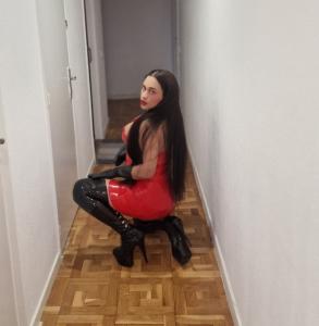 611275347: Travesti en Navarra