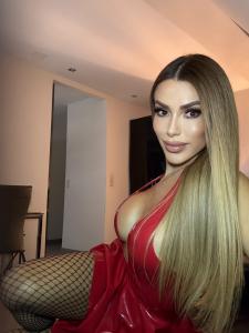 641819585: Travesti en Guipúzcoa