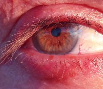 611166113: Chica busca chico en La Coruña