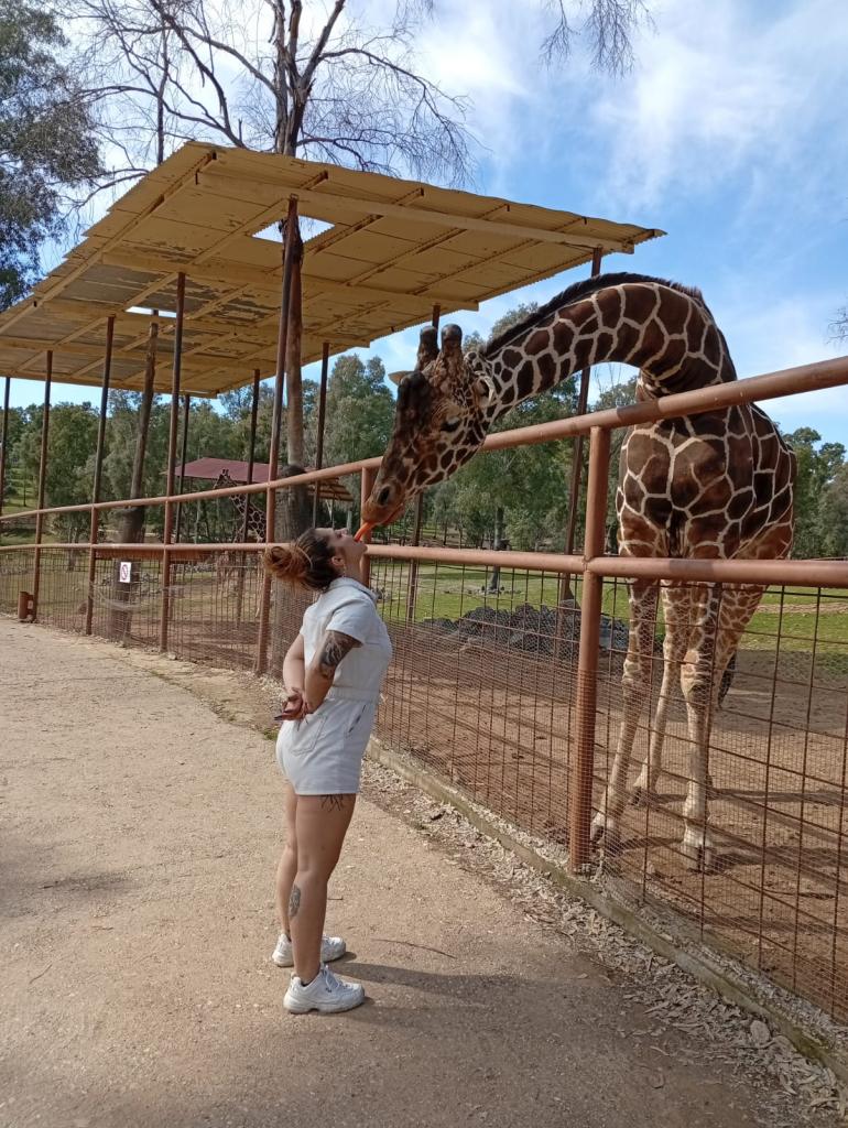 Chica busca chico en Madrid: 