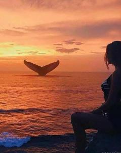 641607276: Chica busca chico en Alicante