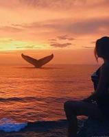 641607276: Chica busca chico en Alicante