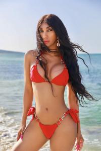 Transexual en Málaga: Transexuales y Travestis