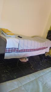 Chica busca chico en Castellón: 