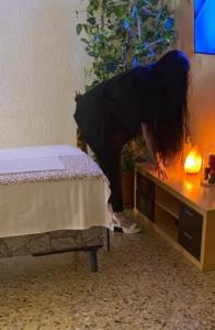 602493575: Chica busca chico en Zaragoza