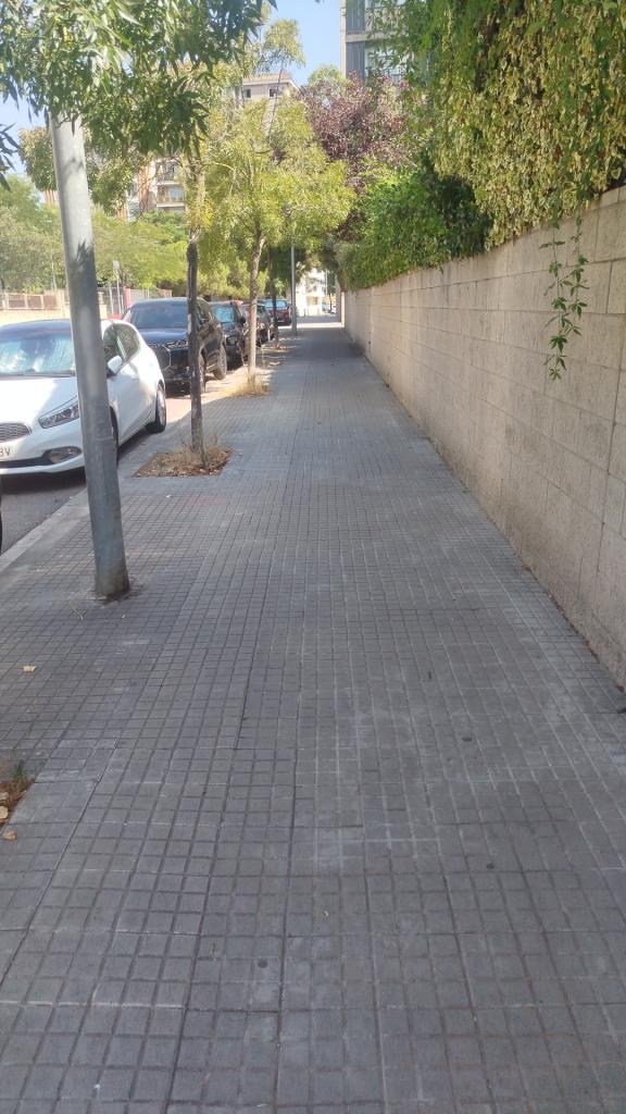 603757100: Chica busca chico en Barcelona