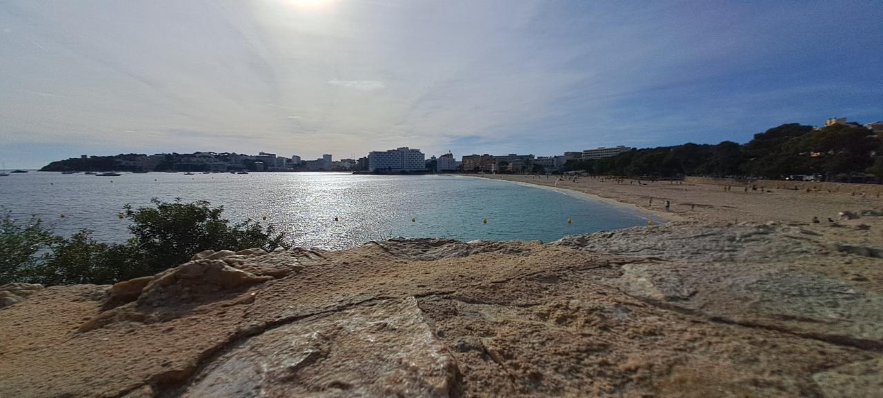 Chica busca chico en Mallorca: 