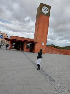 643072584: Chica busca chico en Teruel