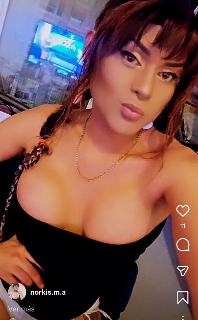 663713124: Travesti en Alicante