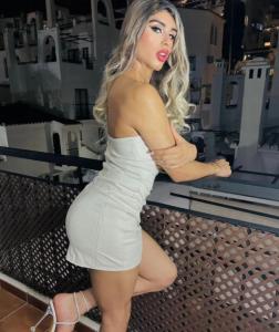 613695706: Transexual en Segovia
