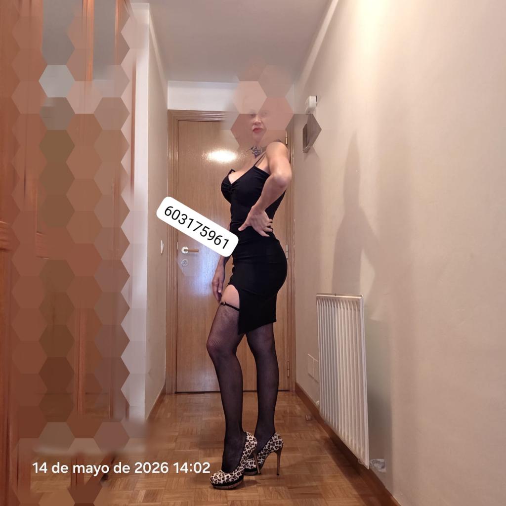 Chica busca chico en Navarra: 