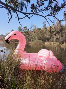 Chica busca chico en Huelva: 