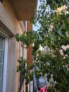 653769185: Chica busca chico en Valencia