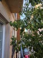 653769185: Chica busca chico en Valencia