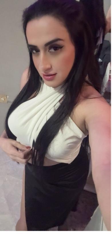 Transexual en Alicante: 